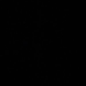 Meet your Posher, Isaacc